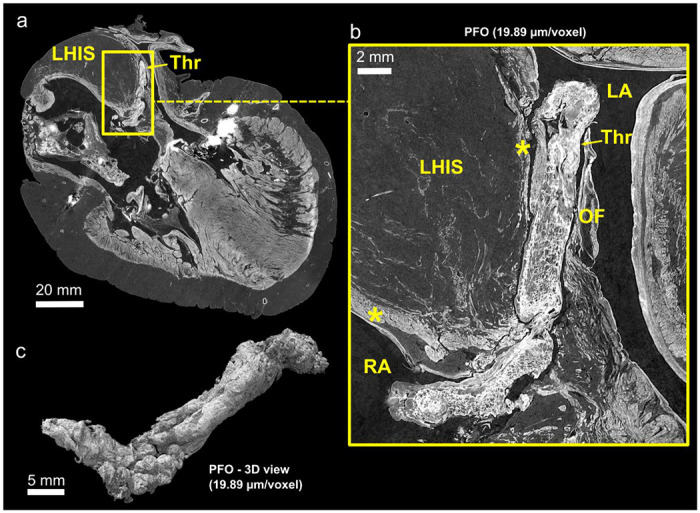 Figure 2: