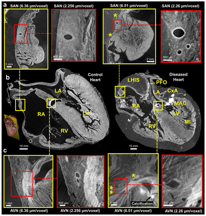 Figure 4: