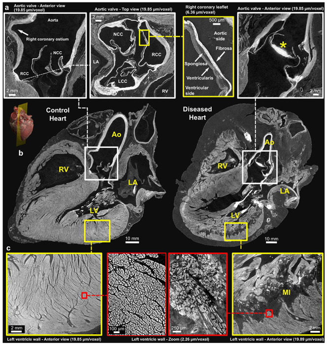 Figure 5: