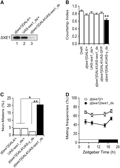 Figure 3.—