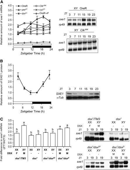 Figure 2.—