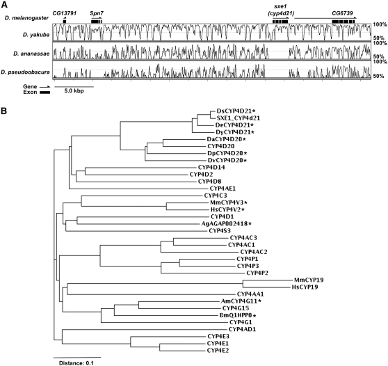 Figure 6.—