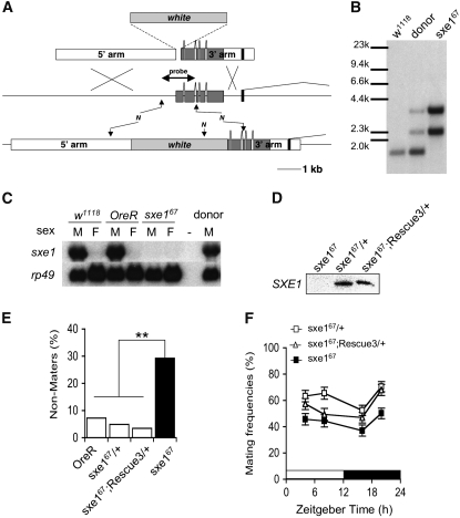 Figure 4.—