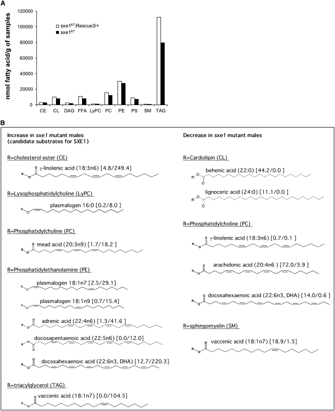 Figure 5.—