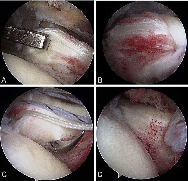 Figure 6