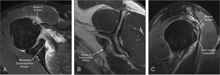 Figure 2