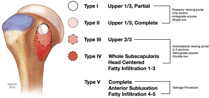 Figure 5