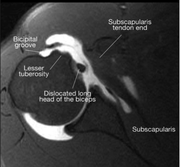 Figure 3