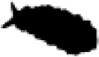 graphic file with name peerj-08-9916-i003.jpg