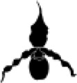 graphic file with name peerj-08-9916-i016.jpg