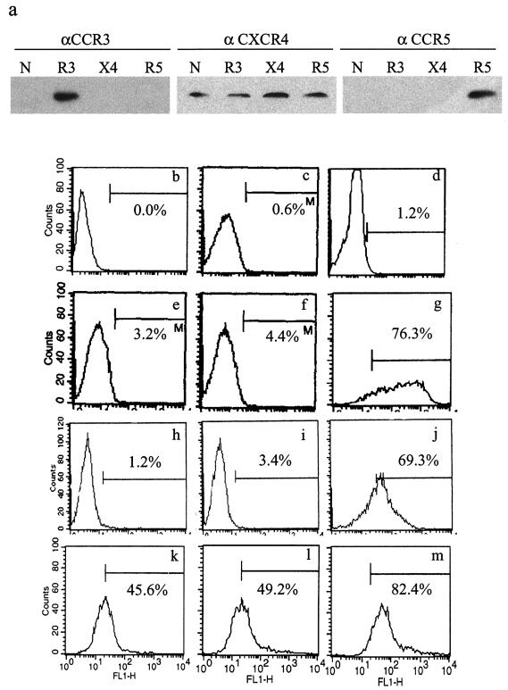 FIG. 5.