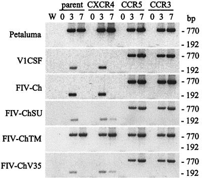 FIG. 7.