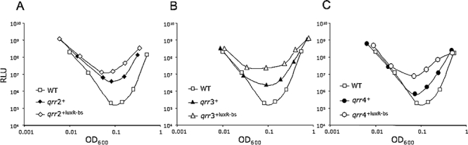 Fig. 8