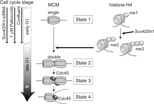 Figure 7.