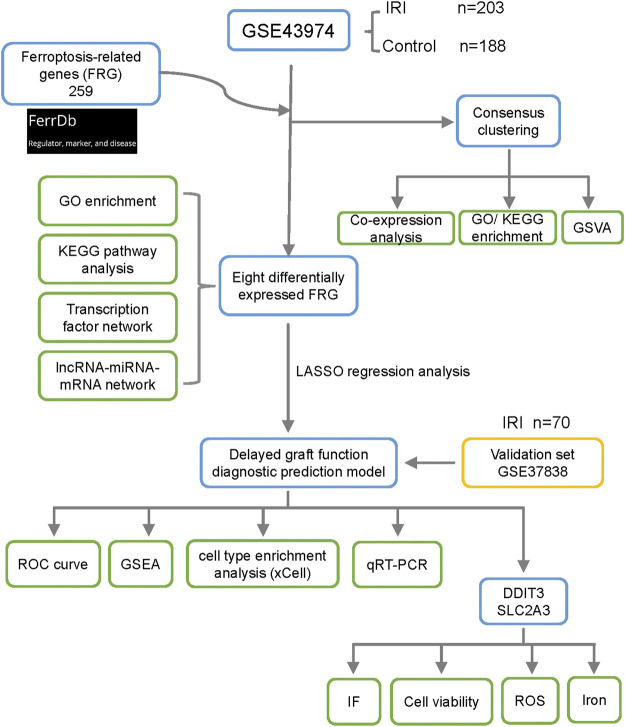 FIGURE 1