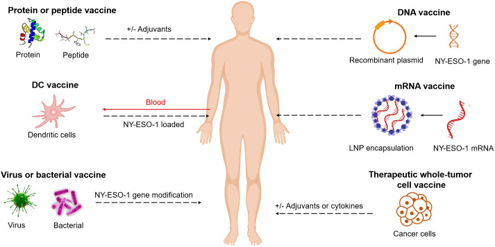 Figure 1