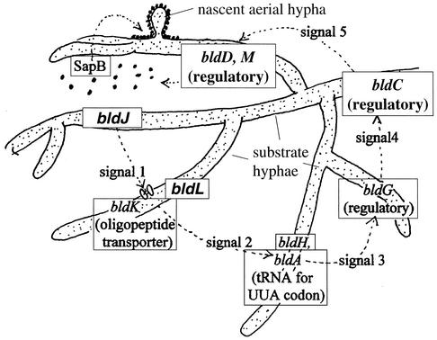 FIG. 3.