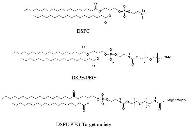 Stealth liposomes: review of the basic science, rationale, and clinical ...