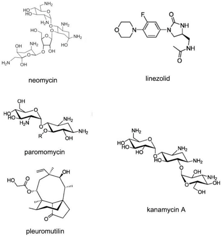 Figure 20