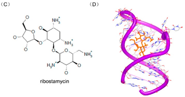 Figure 24