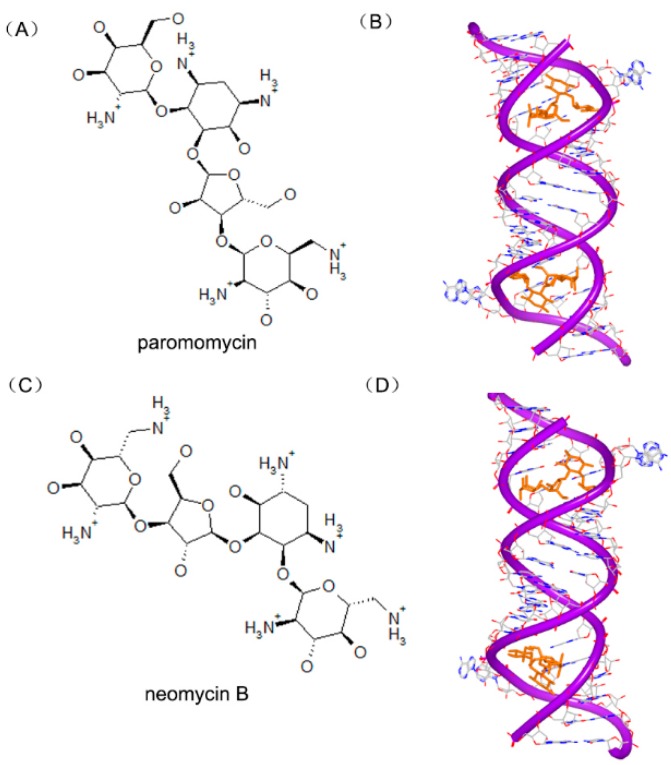 Figure 22