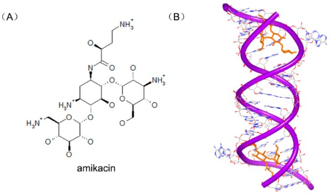 Figure 21