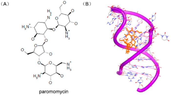 Figure 24