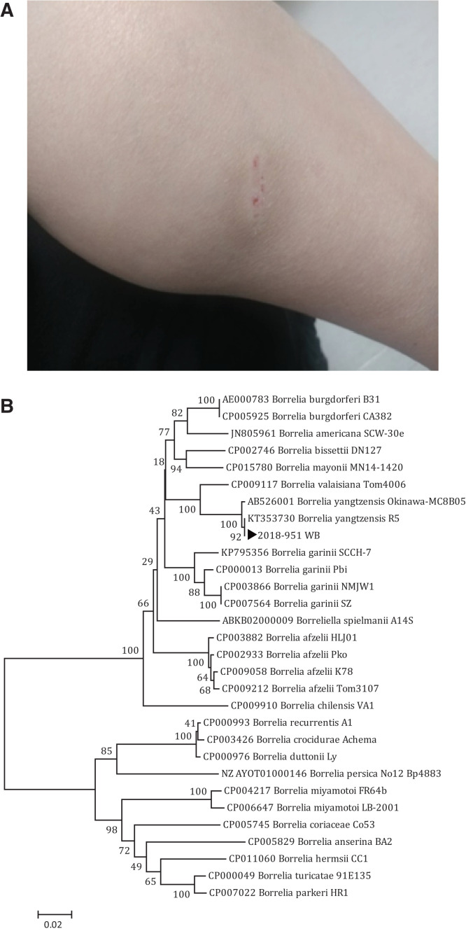 graphic file with name tpmd210052f1.jpg