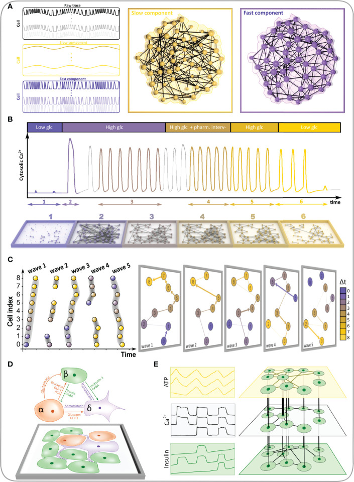 Figure 10