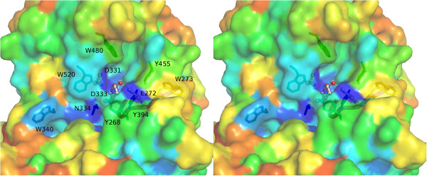 Figure 6