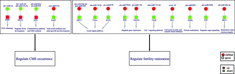 Fig. 8