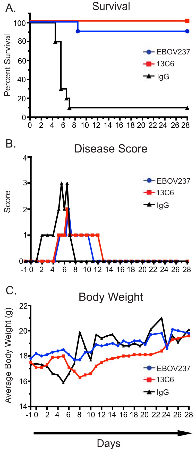 FIG 4