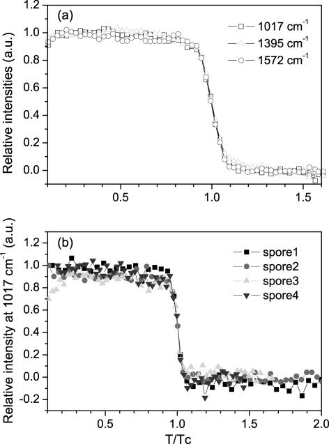 FIG. 8.