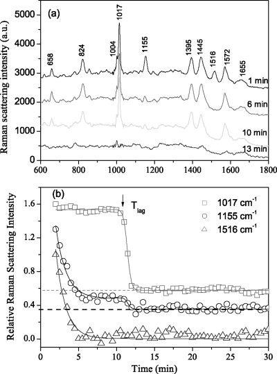 FIG. 10.