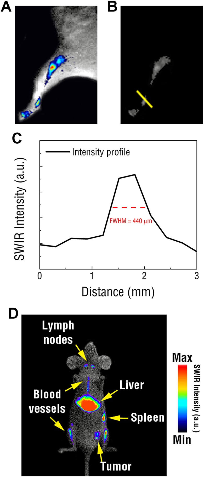 Figure 3.