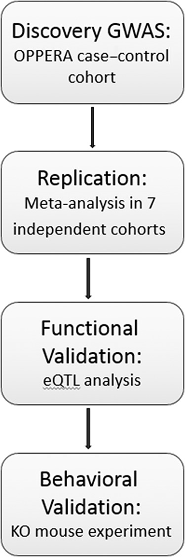 Figure 1.