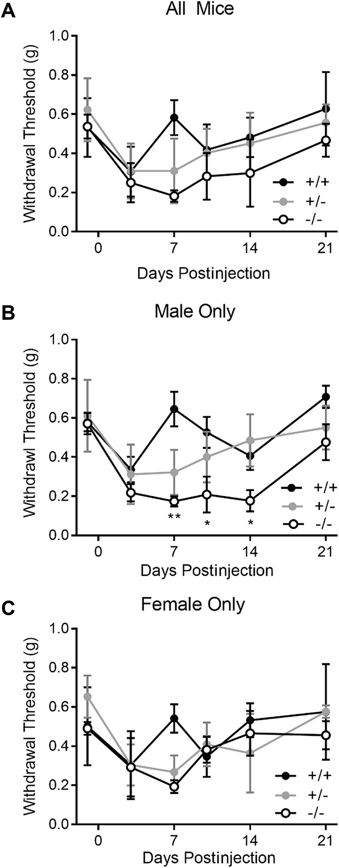 Figure 6.