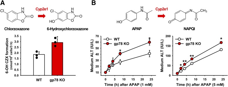 Fig. 7.