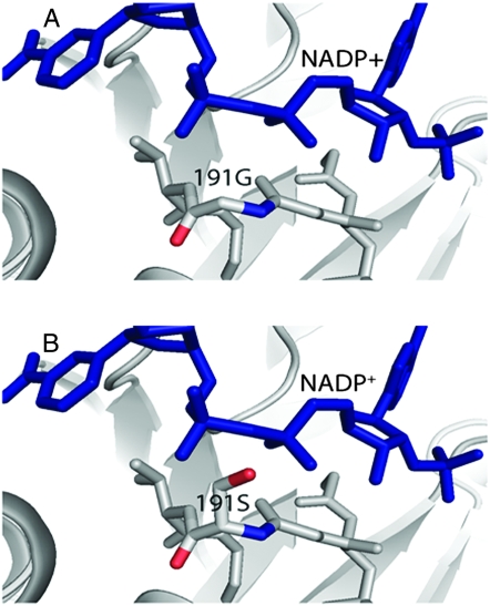 Figure 7.—