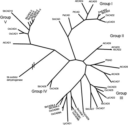 Figure 3.—