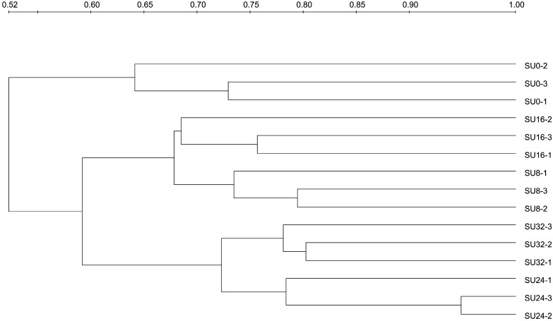 Fig. 3