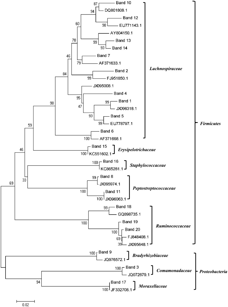 Fig. 4