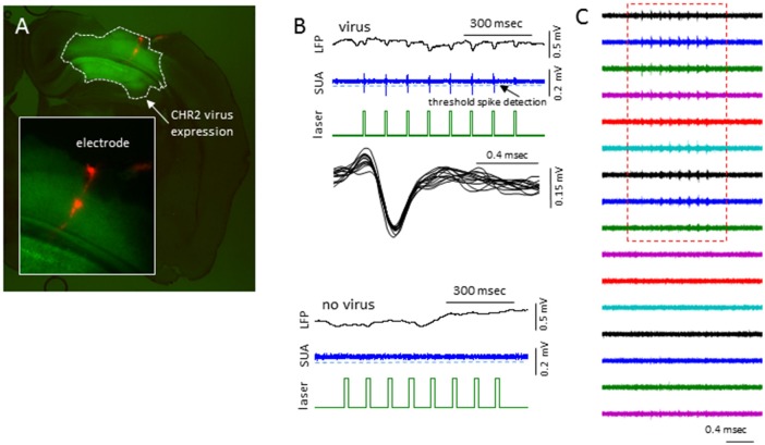 Figure 10