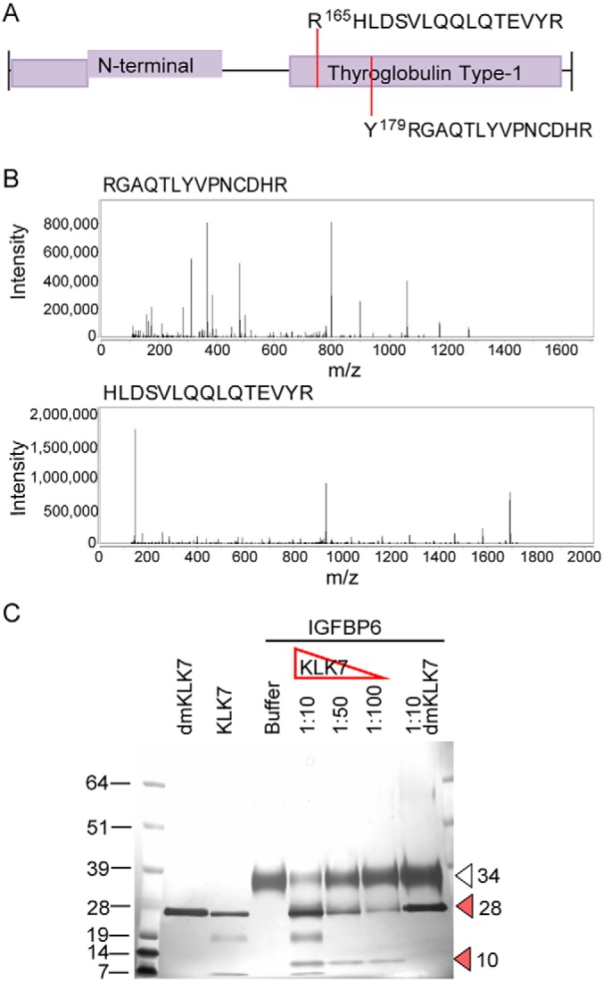 Fig. 3.