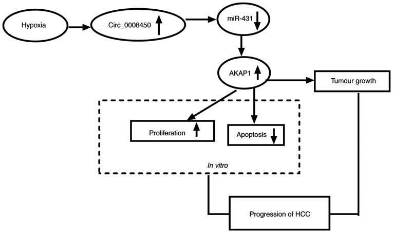 Figure 9.