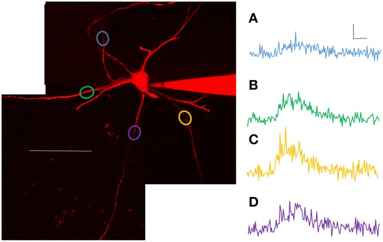 Figure 4