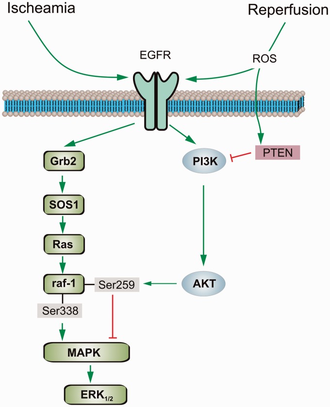 Figure 10.