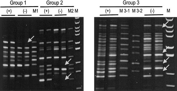 Figure  2