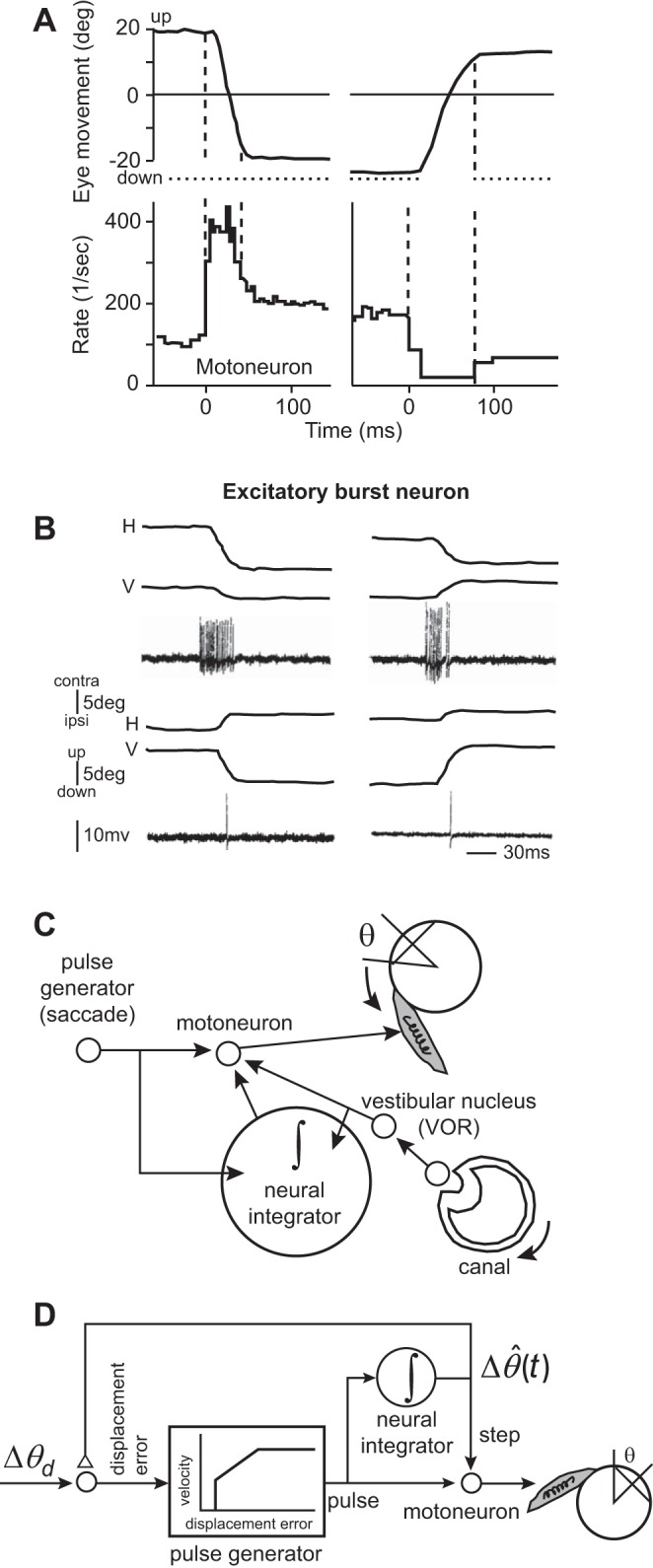 Fig. 1.