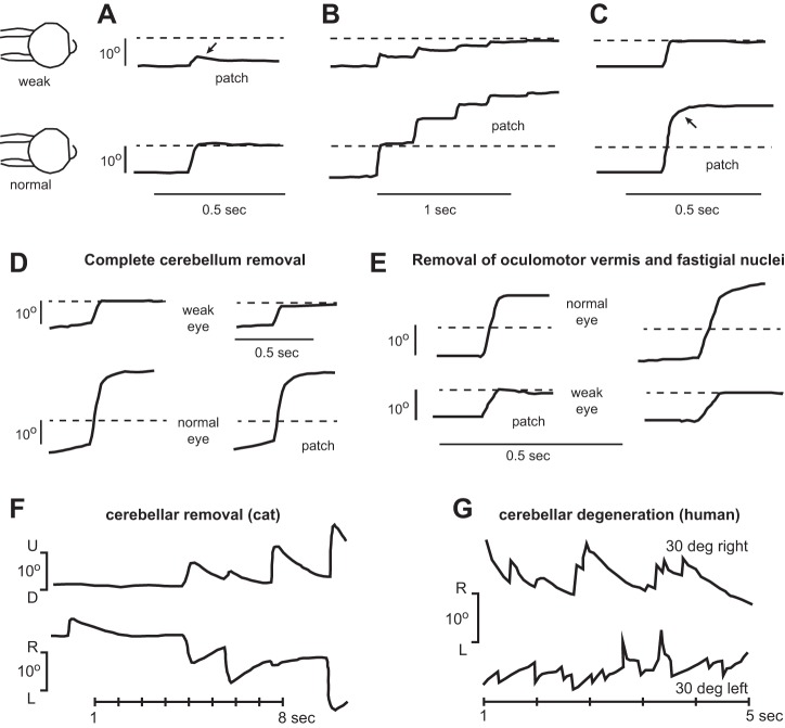 Fig. 15.